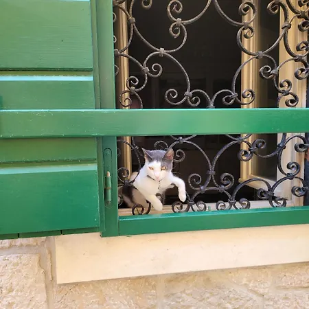 Apartment Linda Vodice