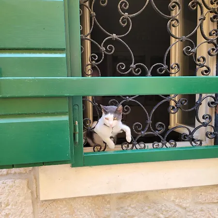 Apartamento Linda Vodice