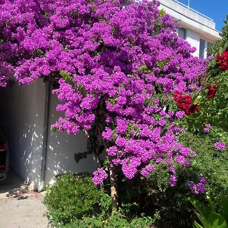 Apartamento Linda *