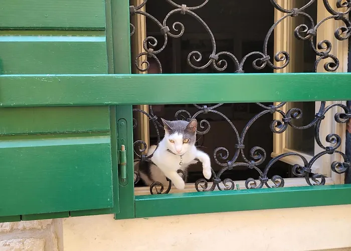 Apartamento Linda Vodice